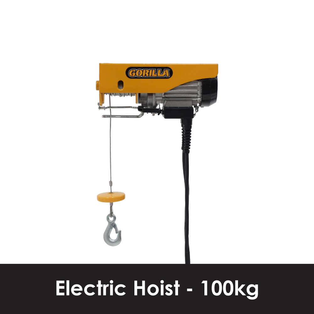 100kg Electric Hoist