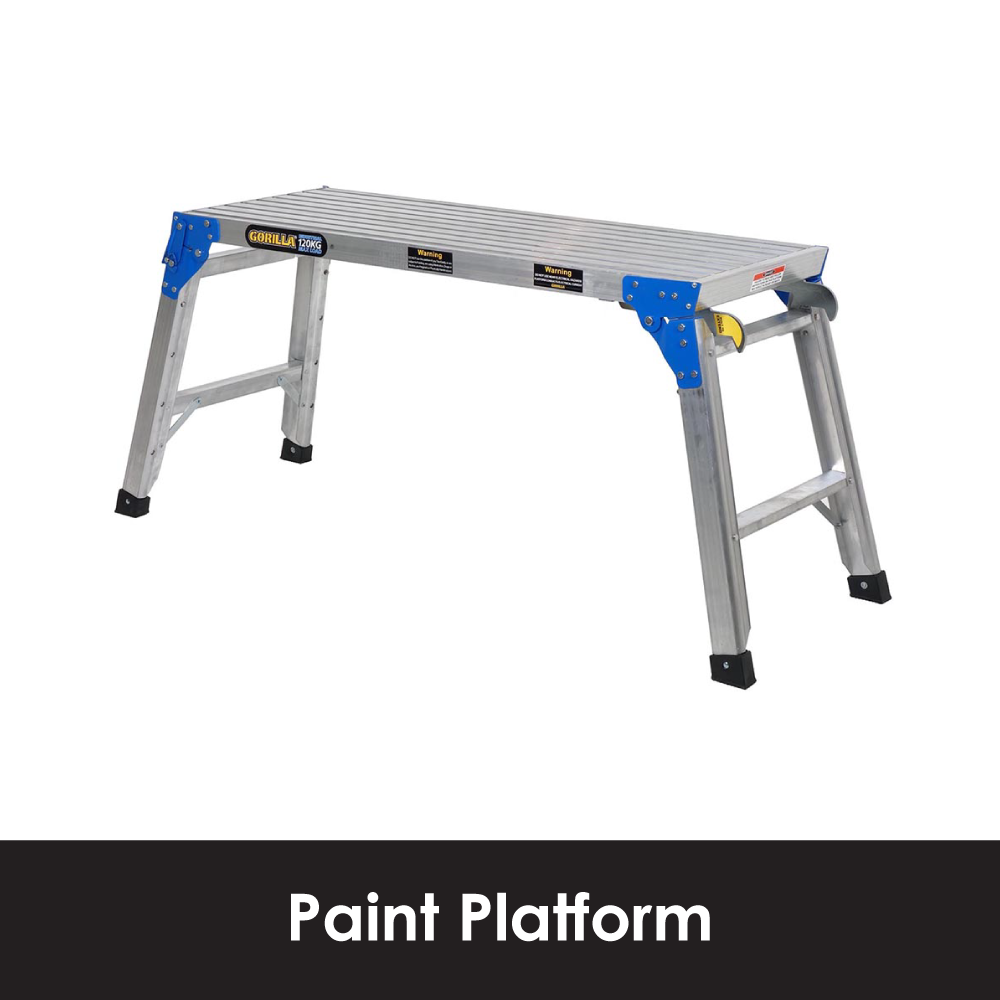 Paint Platform