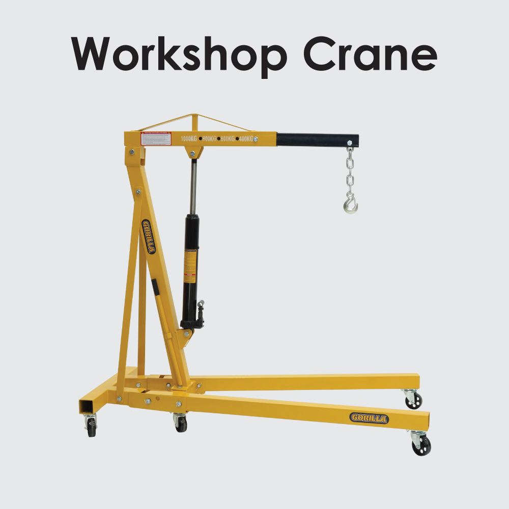 Workshop Crane